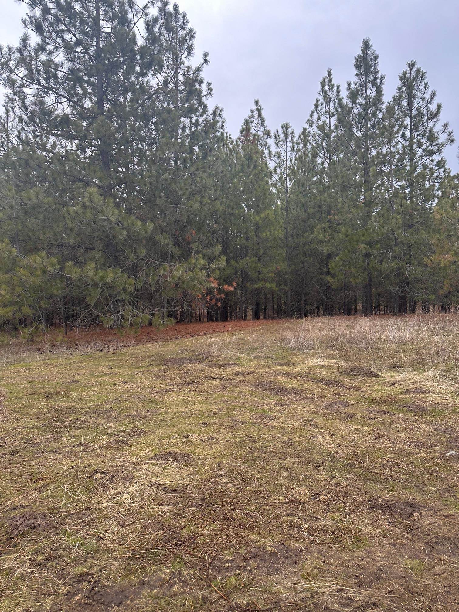 18427 West Burnett Road Nine Mile Falls, WA 99026 - Photo 26 of 29
