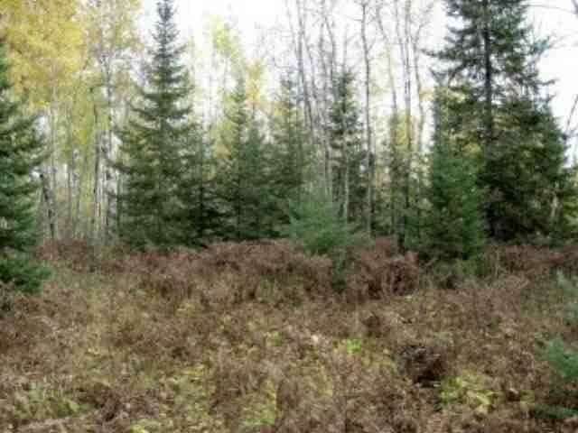 Lot 27 Weber Lake Road Manitowish Waters, WI 54545 - Photo 17 of 18 Gallery Image 17