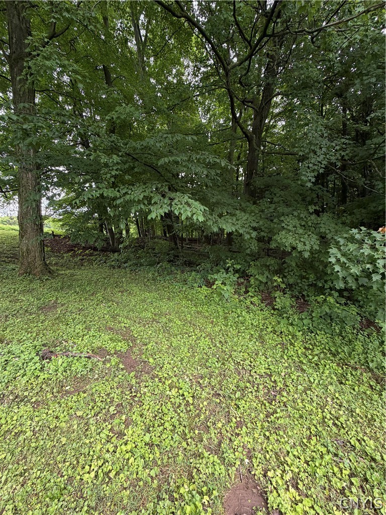 6768 Forbes Road Lincoln, NY 13032 - Photo 9 of 17