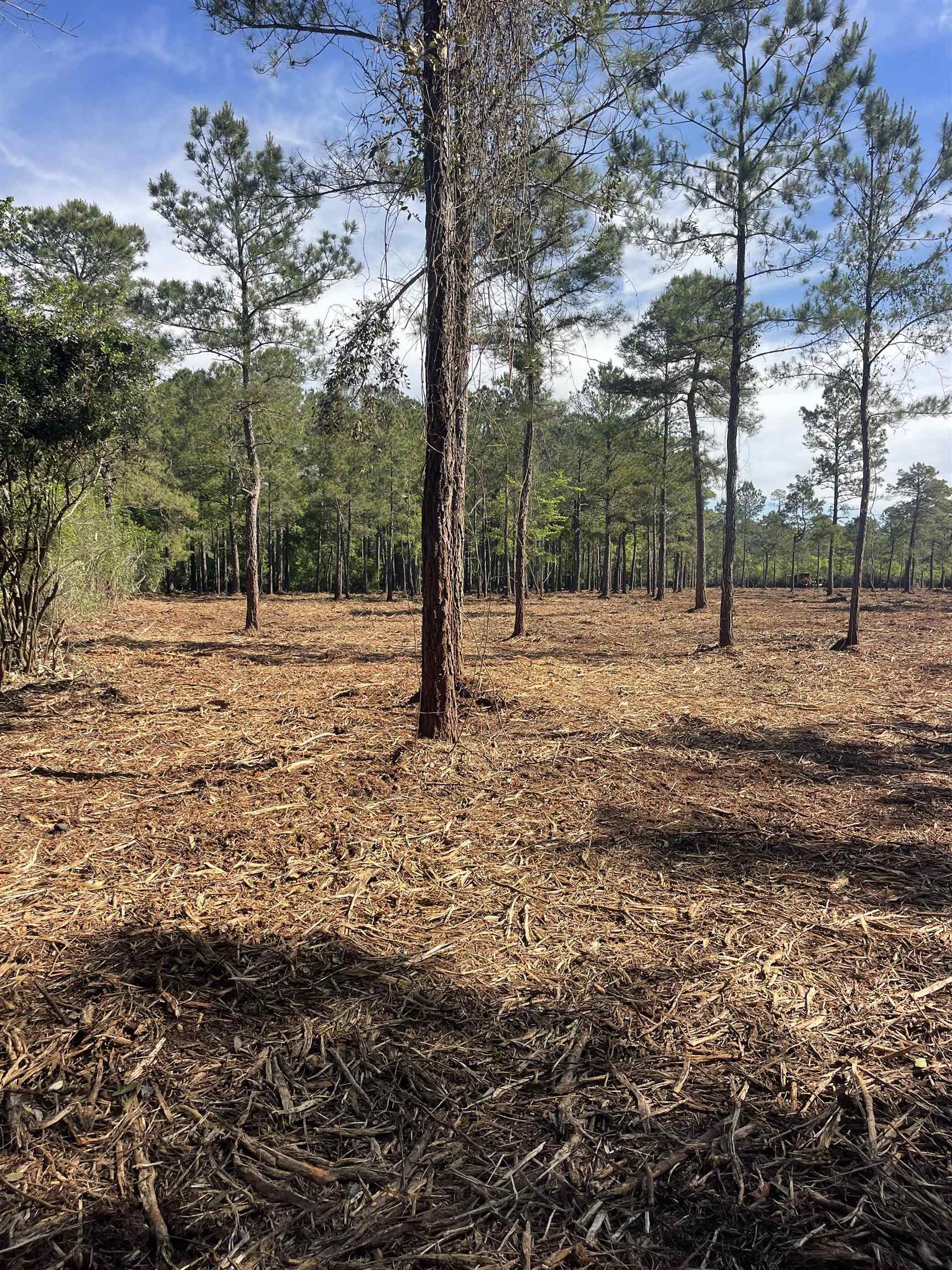 Tbd Tbd Mount Loris, SC 29569 - Photo 20 of 26