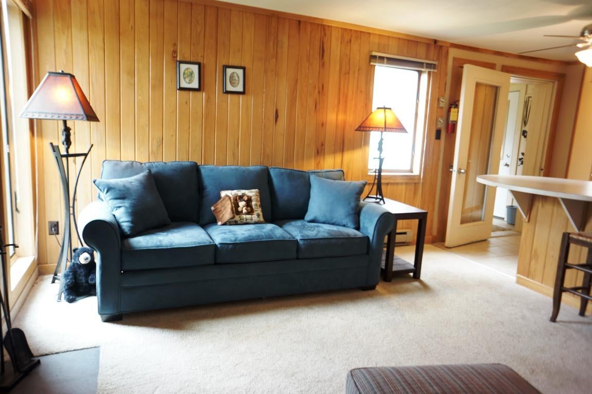 58 Powderidge Road Snowshoe, WV 26209 - Photo 4 of 25 Gallery Image 4