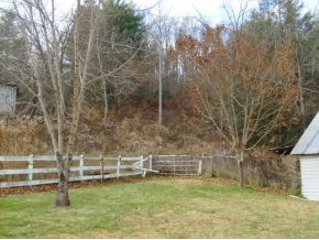 964 Pine Orchard Road Butler, TN 37640 - Photo 9 of 9 Back Yard