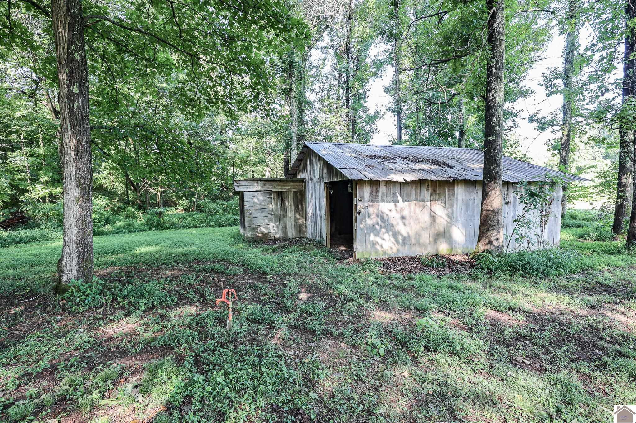 2733 Oak Level Elva Road Symsonia, KY 42082 - Photo 10 of 30 Barn
