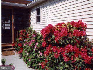 147 Cemetery Road Nottingham, PA 19362 - Photo 5 of 6 Gallery Image 5