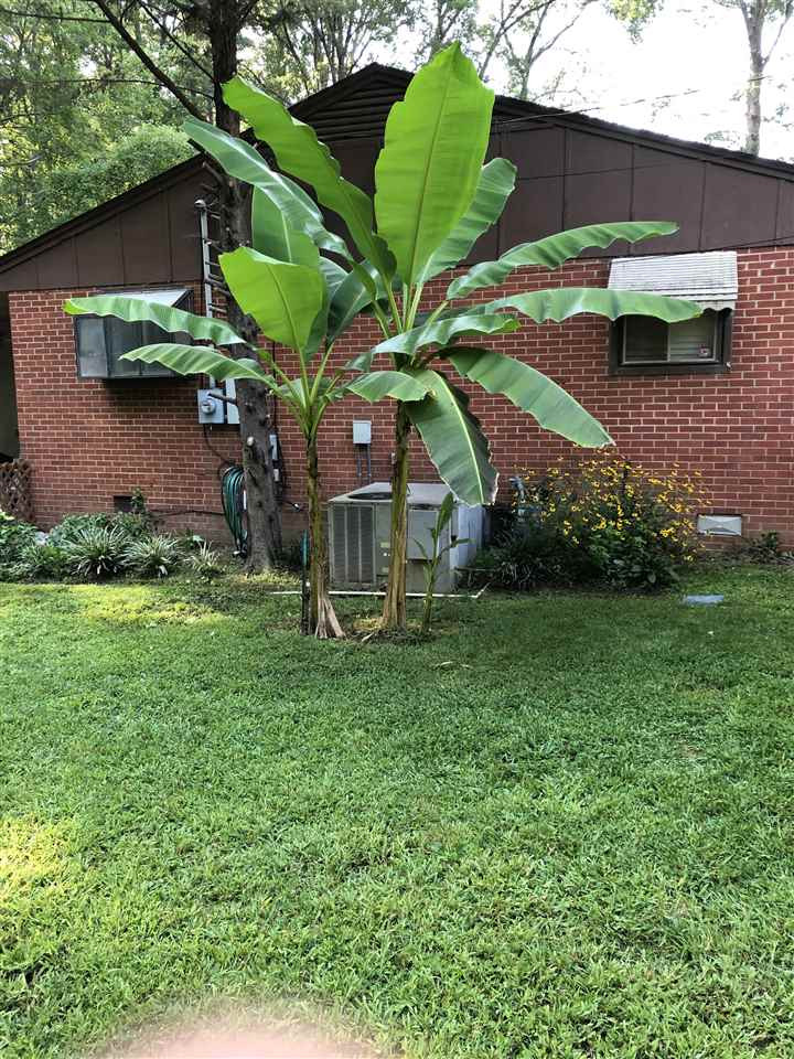 313 Gary Street Raleigh, NC 27606 - Photo 17 of 24 Photo 17