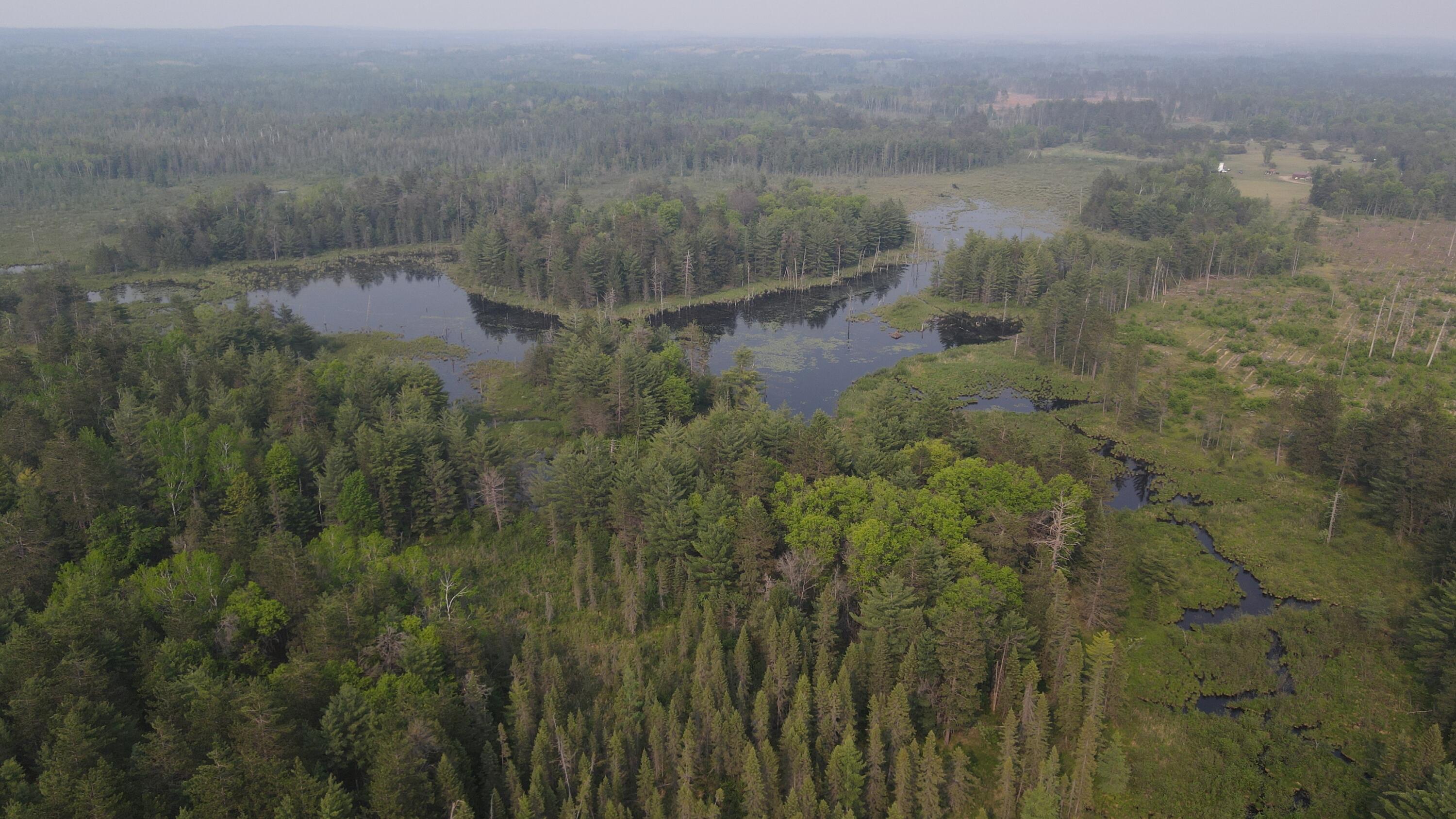 Parcel B Cherry Creek Road Grayling, MI 49738 - Photo 10 of 25 DJI_0943