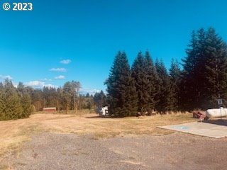 350 Bunker Hill Road Longview, WA 98632 - Photo 20 of 28 a view of road covered with snow