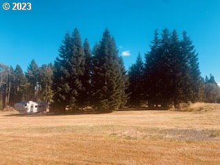 350 Bunker Hill Road Longview, WA 98632 - Photo 23 of 28 a view of yard covered with snow