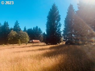 350 Bunker Hill Road Longview, WA 98632 - Photo 27 of 28 a view of a lake view