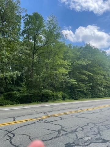 a view of a yard and entertaining space