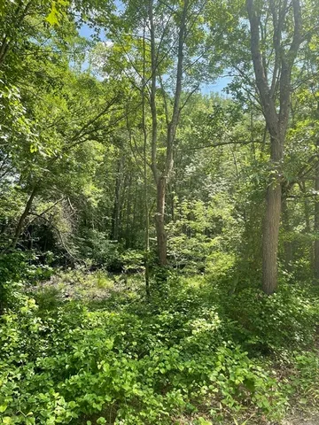 a view of outdoor space and trees