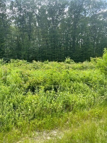0 Twin River Road Lincoln, RI 02865 - Photo 7 of 11 a view of outdoor space and trees