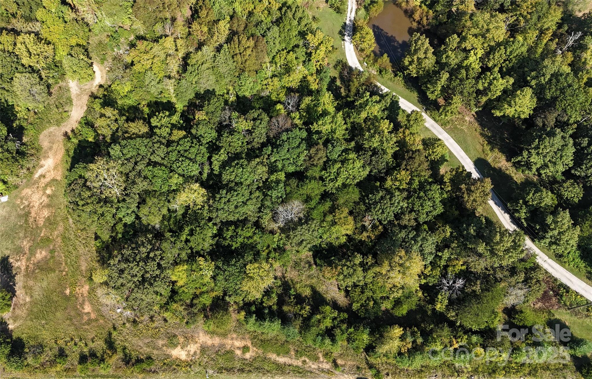 5.5-acres Locust Hill Road York, SC 29745 - Photo 2 of 5 a view of a lush green forest