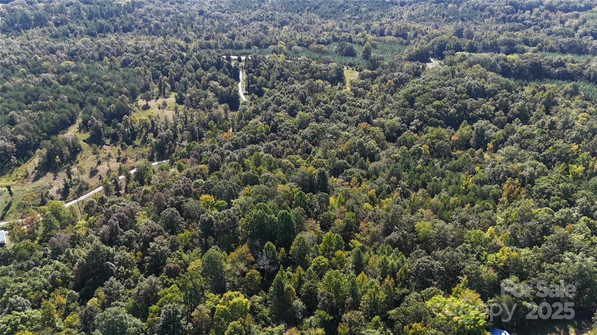 5.5-acres Locust Hill Road York, SC 29745 - Photo 3 of 5 view of a city with lots of bushes