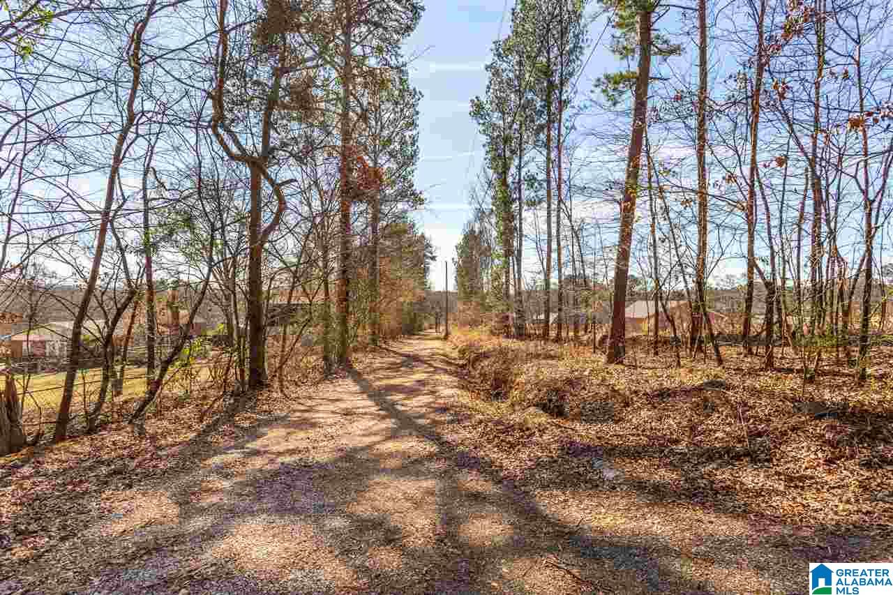 896 Taylors Chapel Road Eastaboga, AL 36260 - Photo 34 of 44