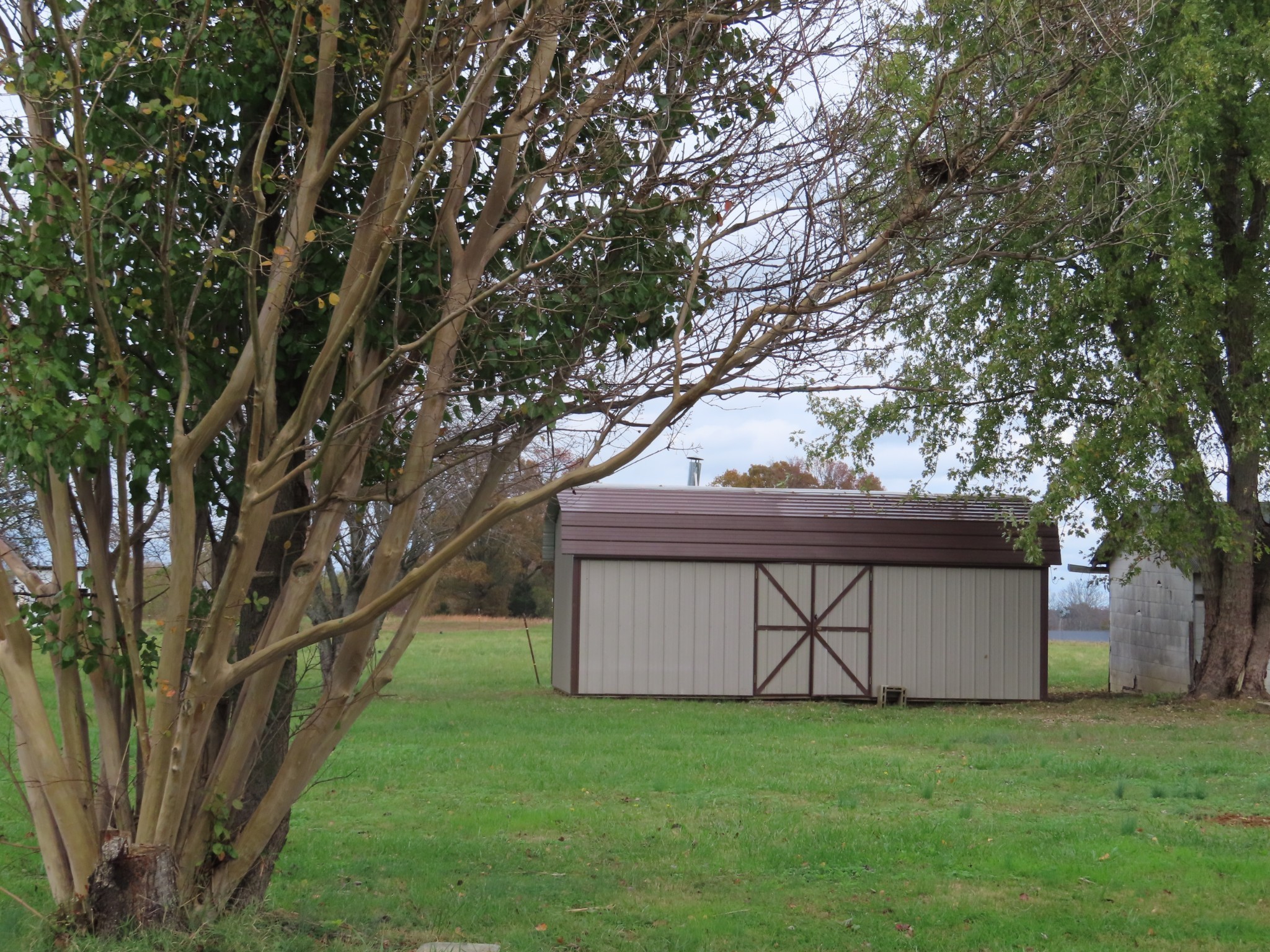 1263 Union Camp Road Lafayette, TN 37083 - Photo 4 of 22 a view of yard with a house in the background
