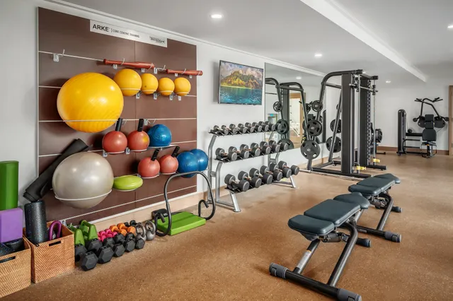 a living room with gym equipment