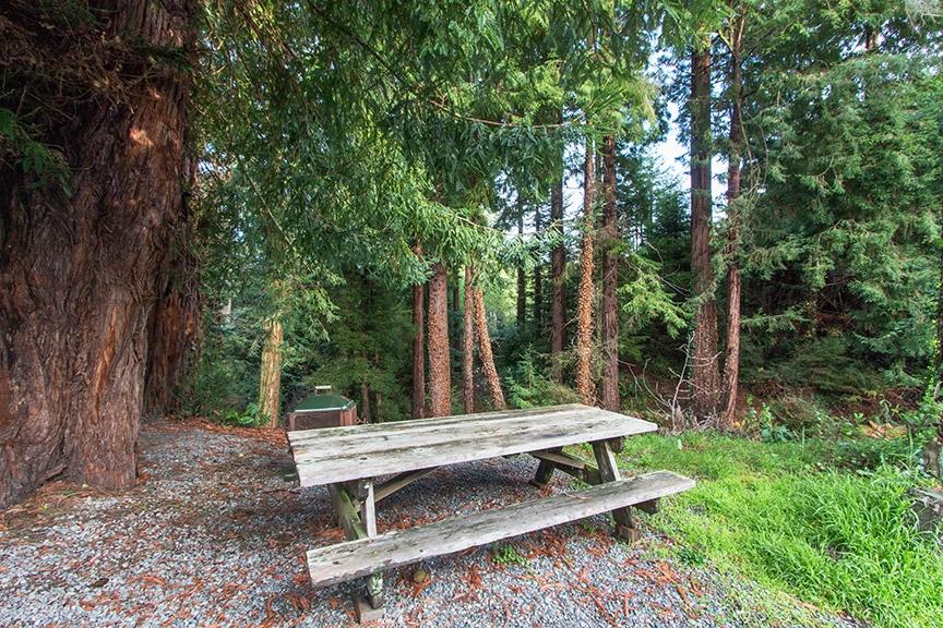 4259 Campton Road Eureka, CA 95503 - Photo 44 of 49