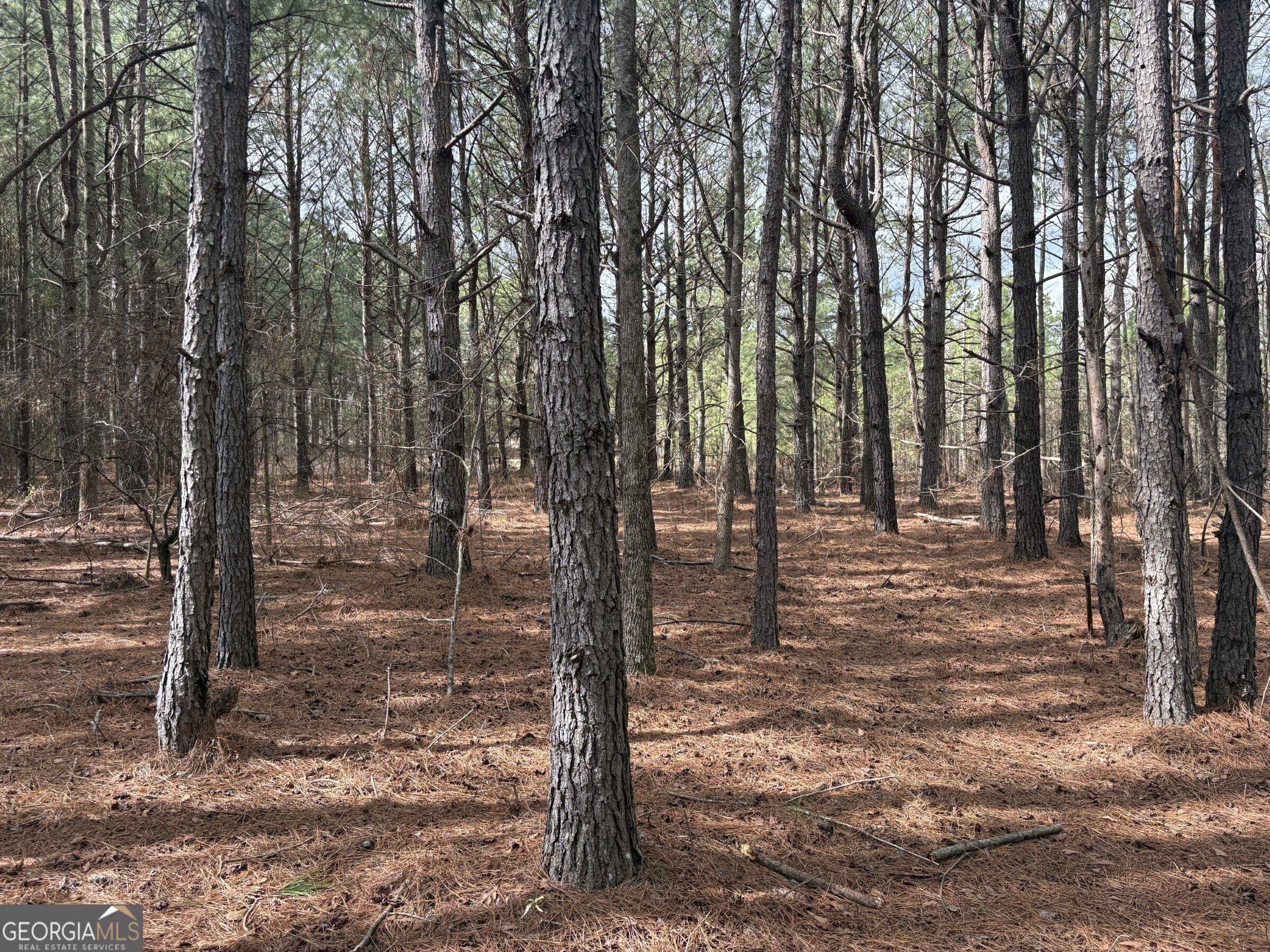 L2 Keysville-boggs Academy Road Keysville, GA 30816 - Photo 1 of 6