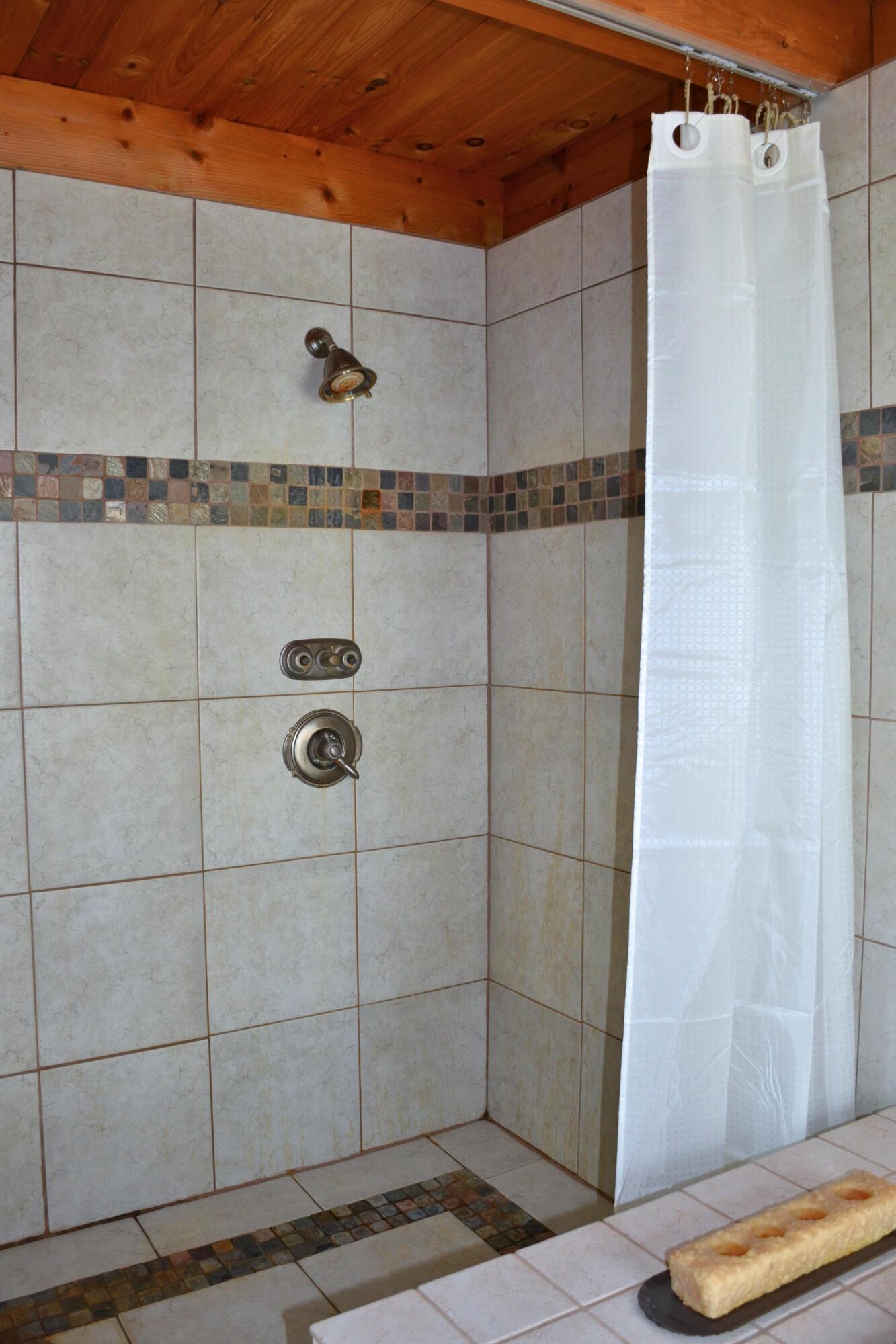 8030 Brown Road Ostrander, OH 43061 - Photo 34 of 47 primary suite walk in shower
