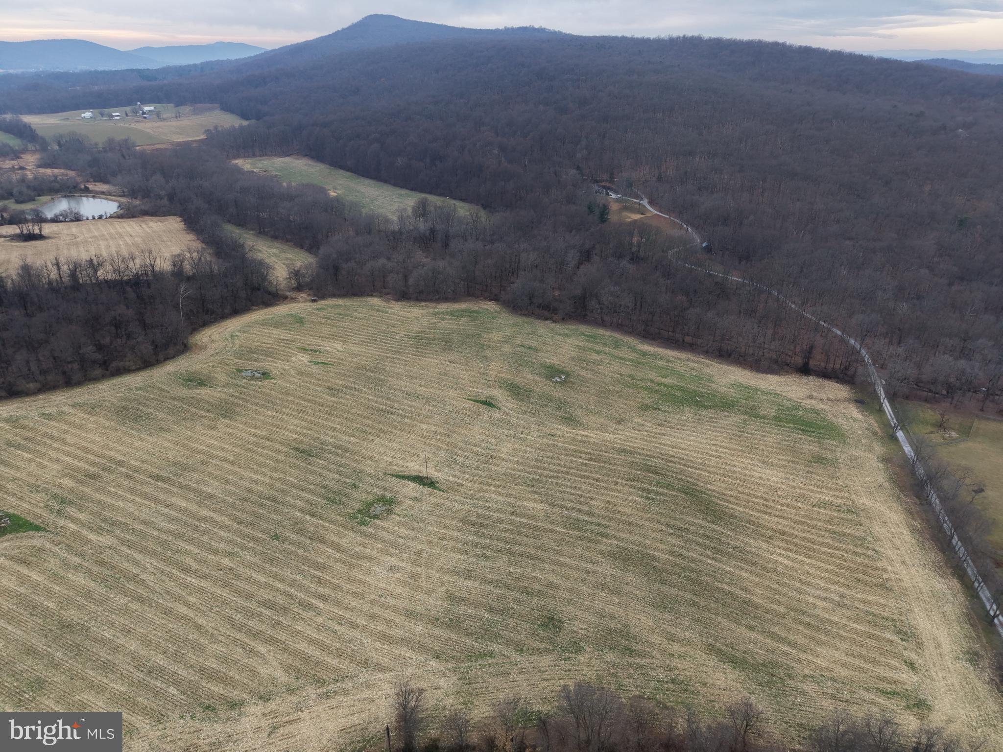 3940 Trego Road Rohrersville, MD 21779 - Photo 11 of 68