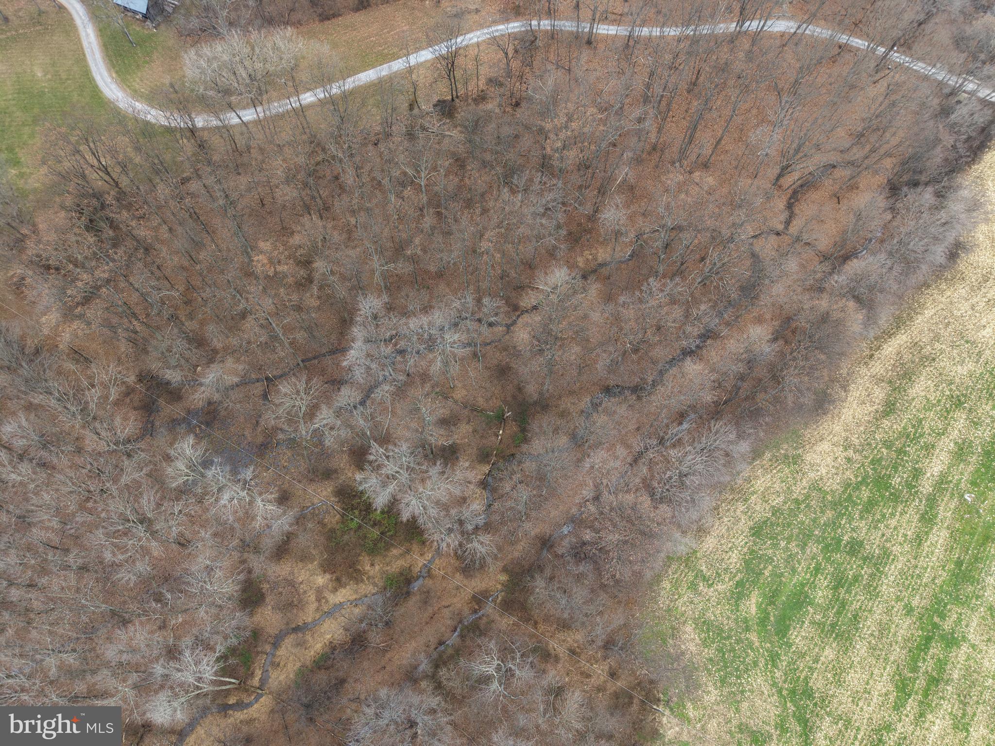 3940 Trego Road Rohrersville, MD 21779 - Photo 15 of 68