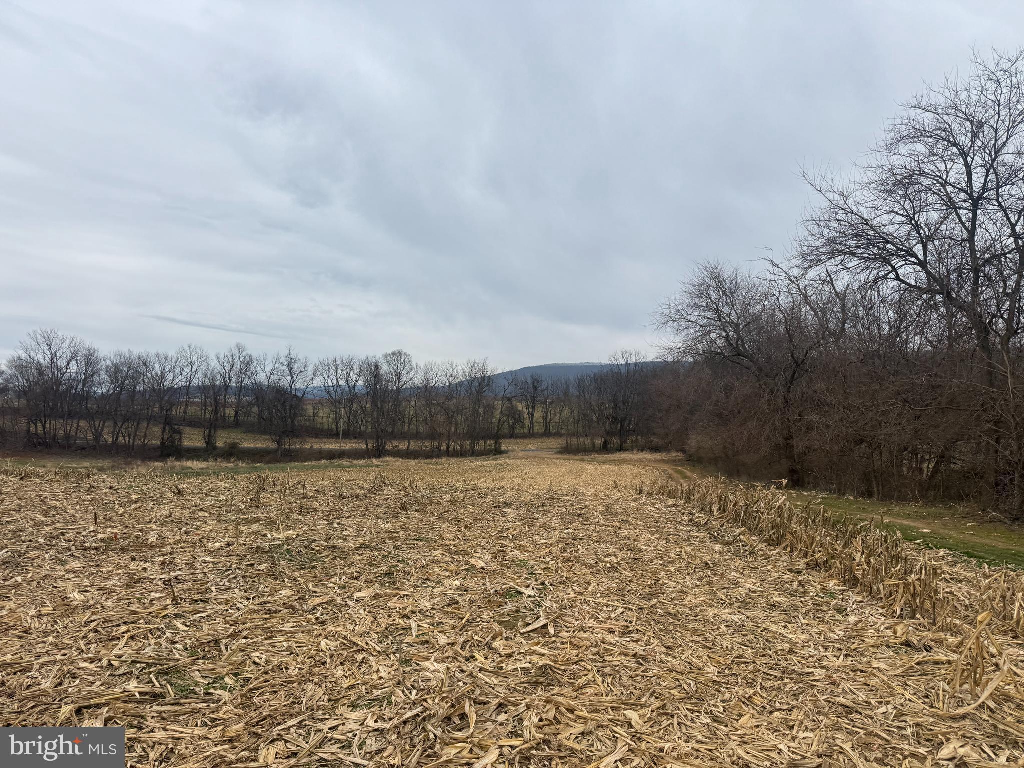 3940 Trego Road Rohrersville, MD 21779 - Photo 18 of 68