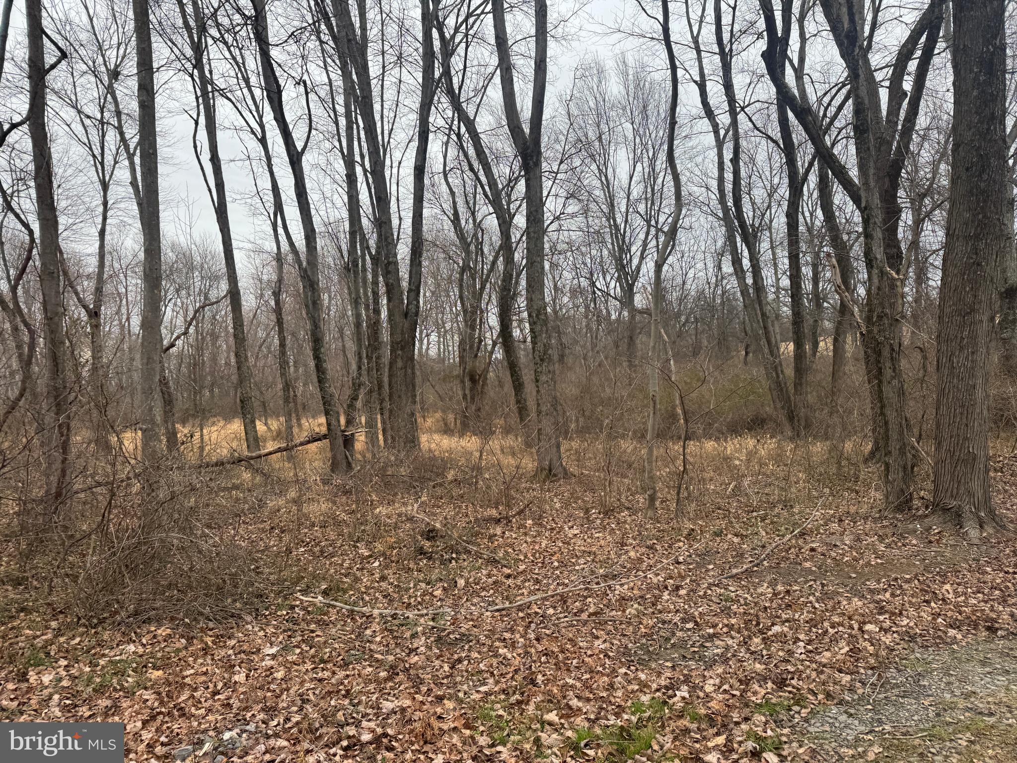 3940 Trego Road Rohrersville, MD 21779 - Photo 19 of 68