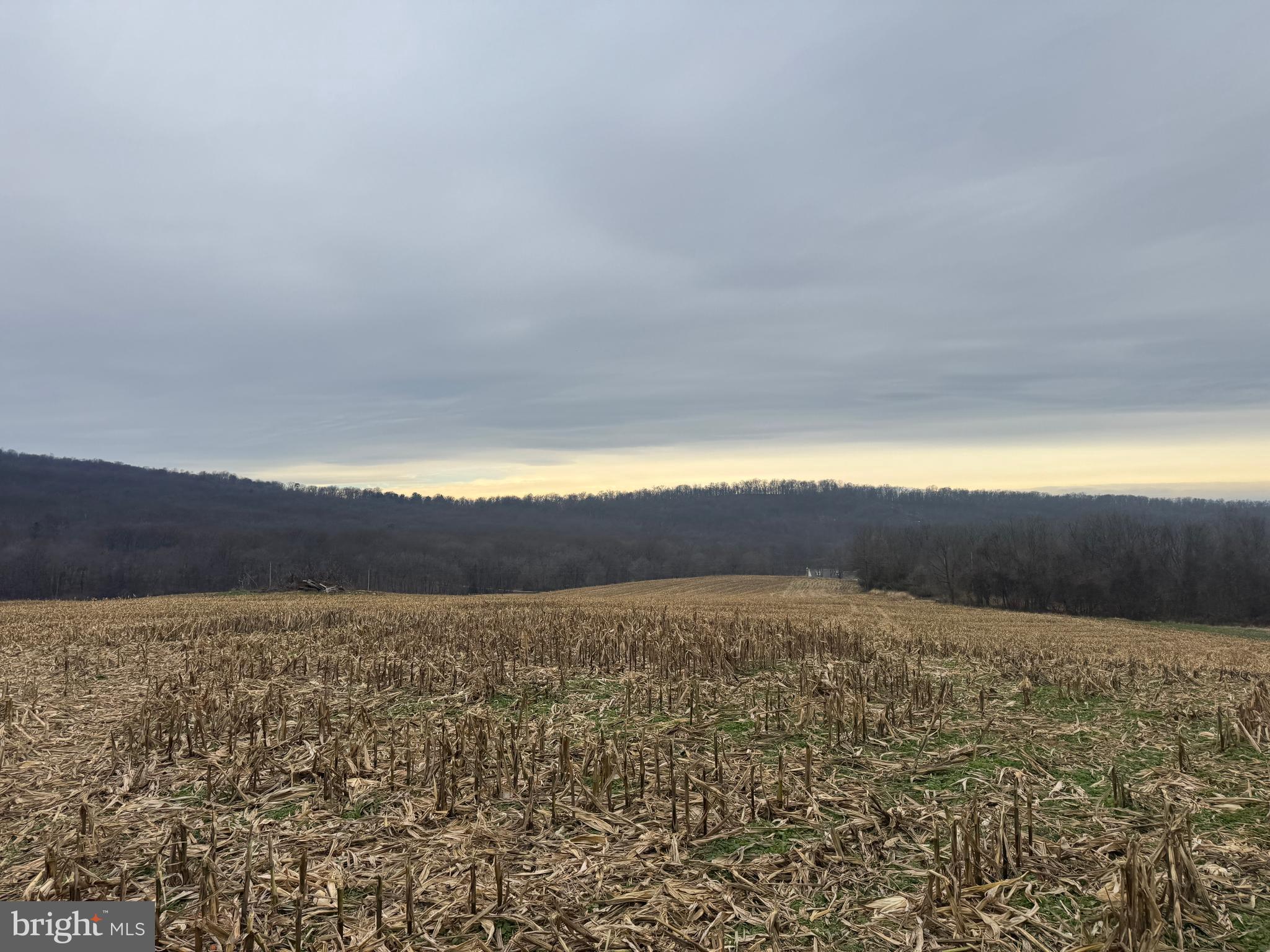 3940 Trego Road Rohrersville, MD 21779 - Photo 22 of 68