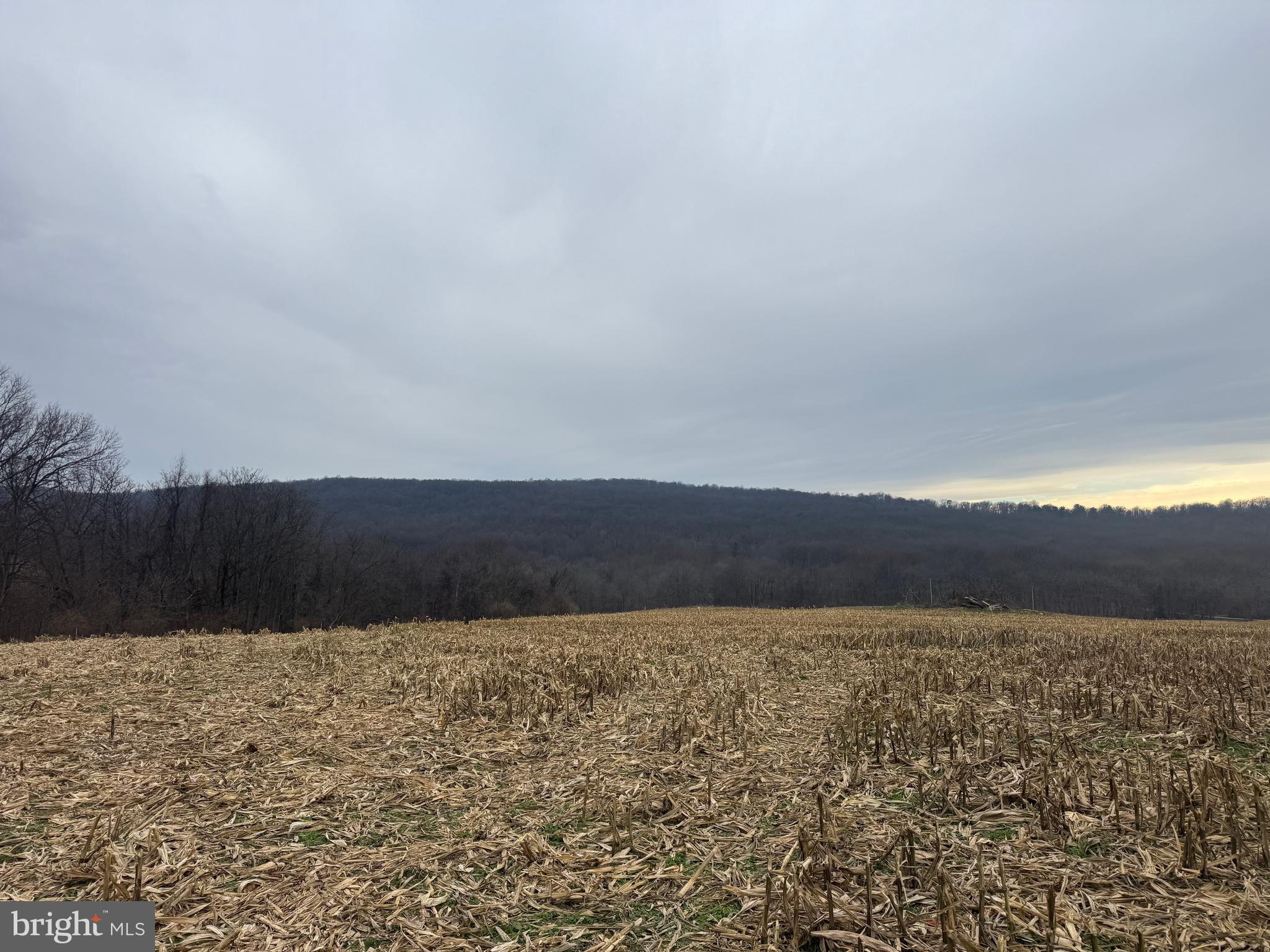 3940 Trego Road Rohrersville, MD 21779 - Photo 23 of 68