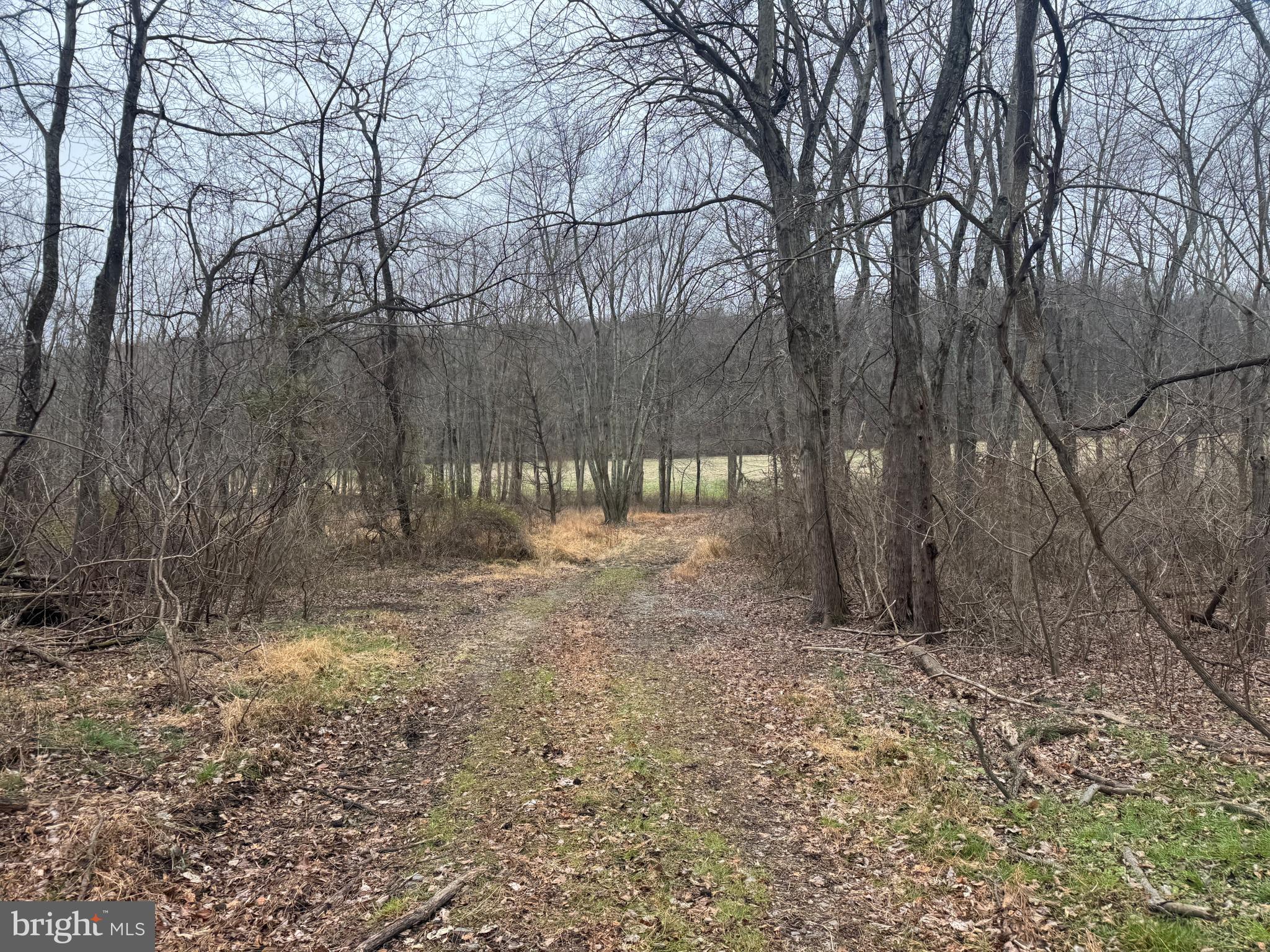 3940 Trego Road Rohrersville, MD 21779 - Photo 25 of 68