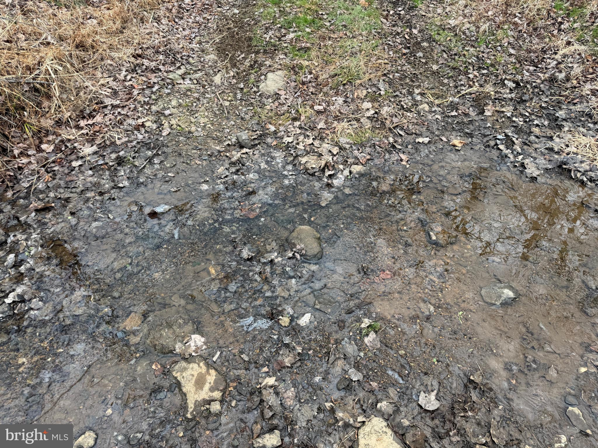 3940 Trego Road Rohrersville, MD 21779 - Photo 26 of 68