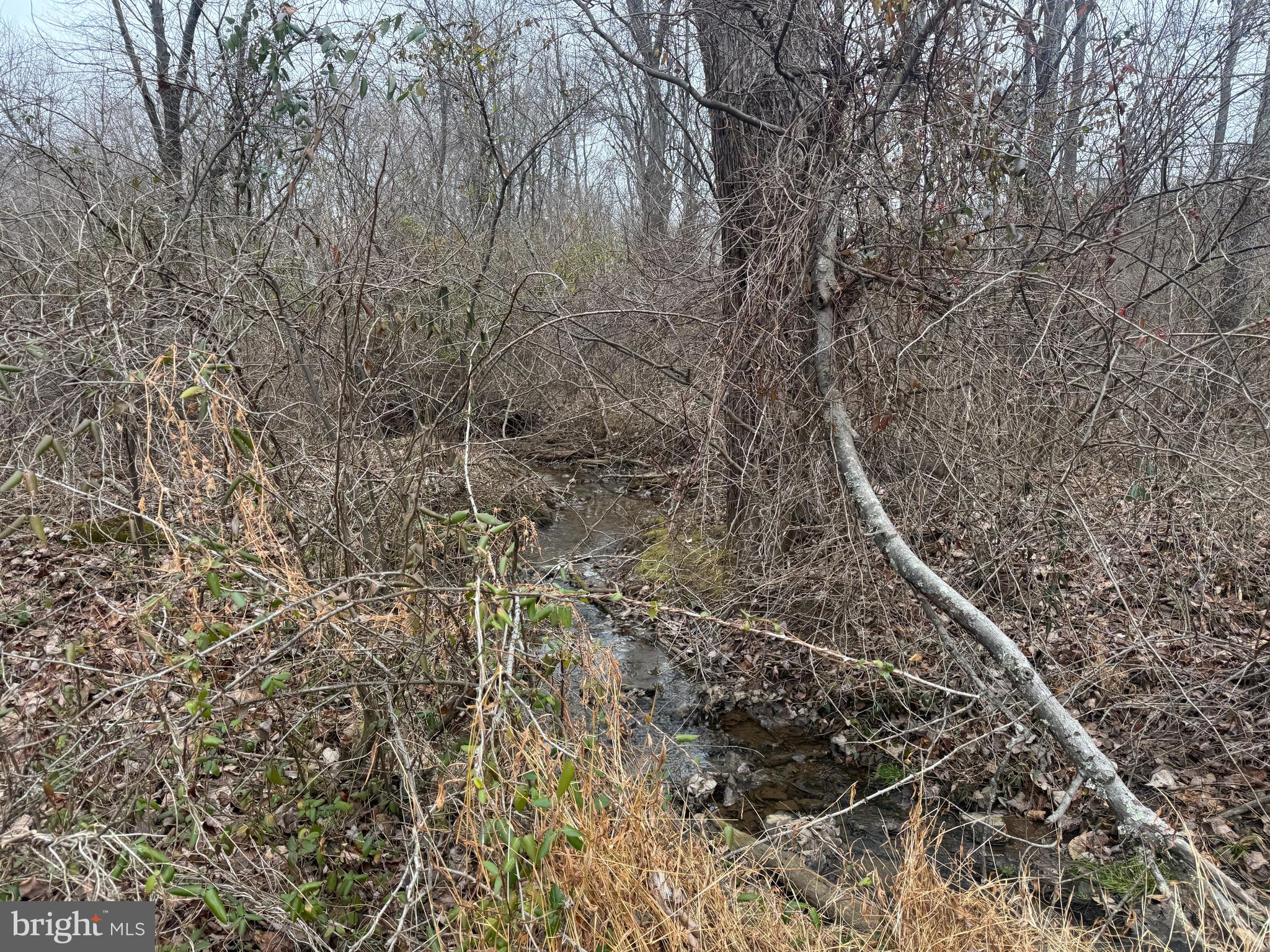 3940 Trego Road Rohrersville, MD 21779 - Photo 28 of 68