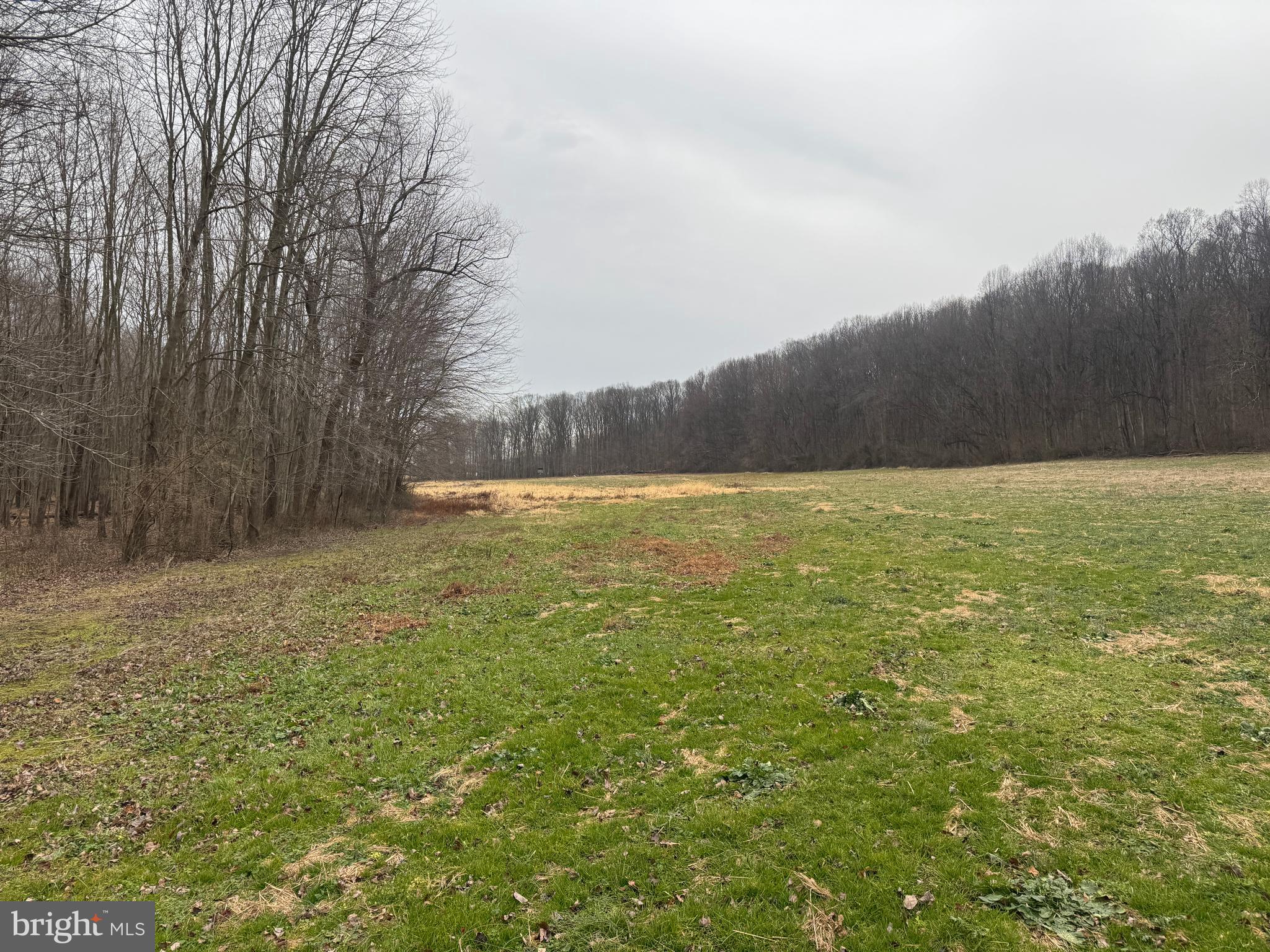 3940 Trego Road Rohrersville, MD 21779 - Photo 31 of 68