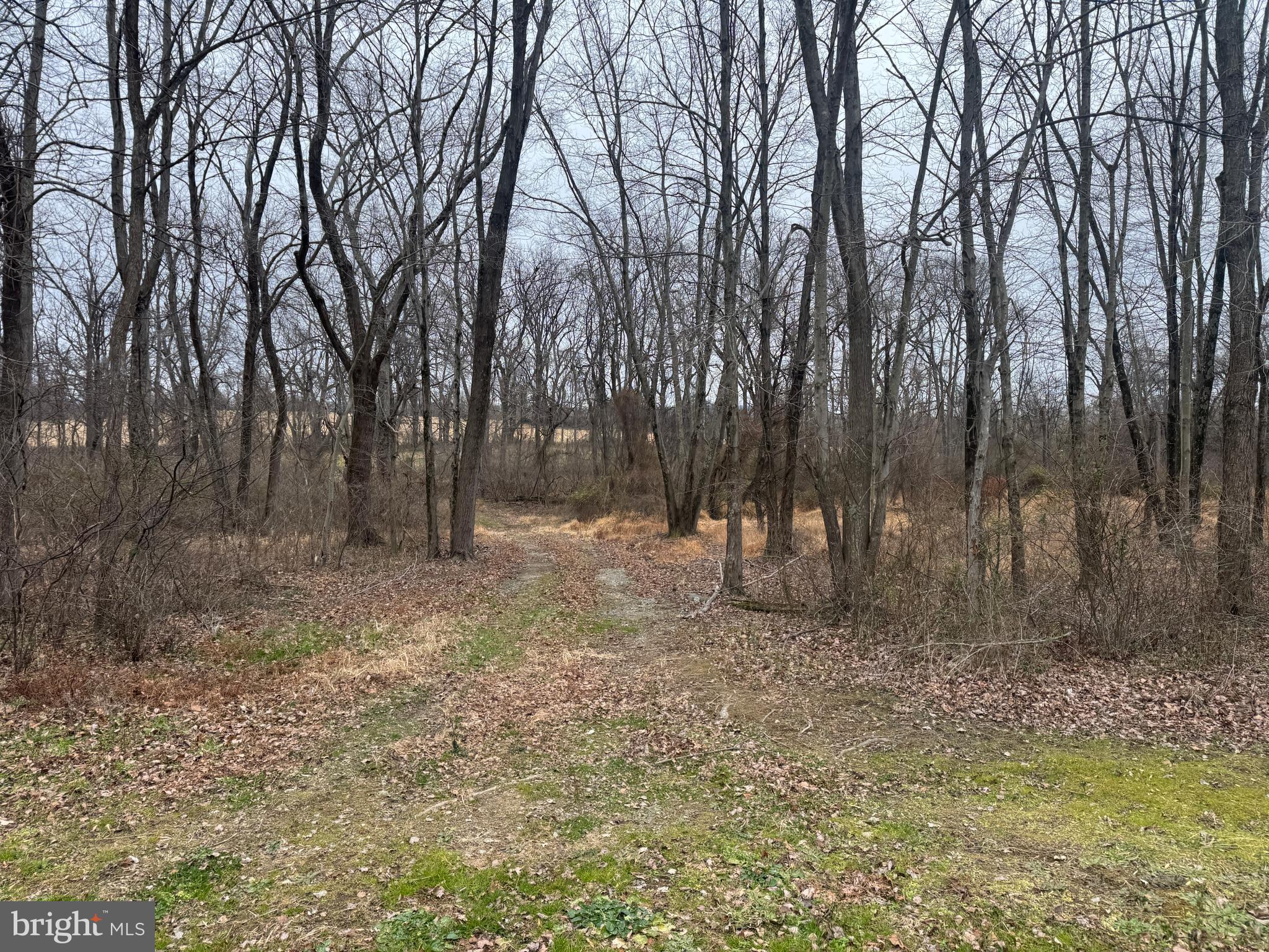 3940 Trego Road Rohrersville, MD 21779 - Photo 32 of 68