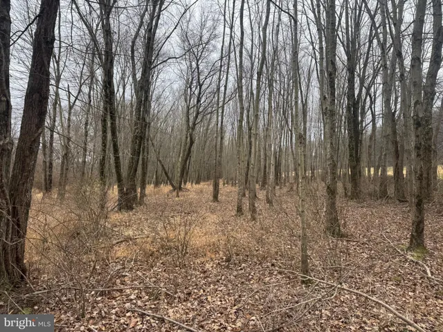 $699,000 | 3940 Trego Road, Rohrersville, MD 21779