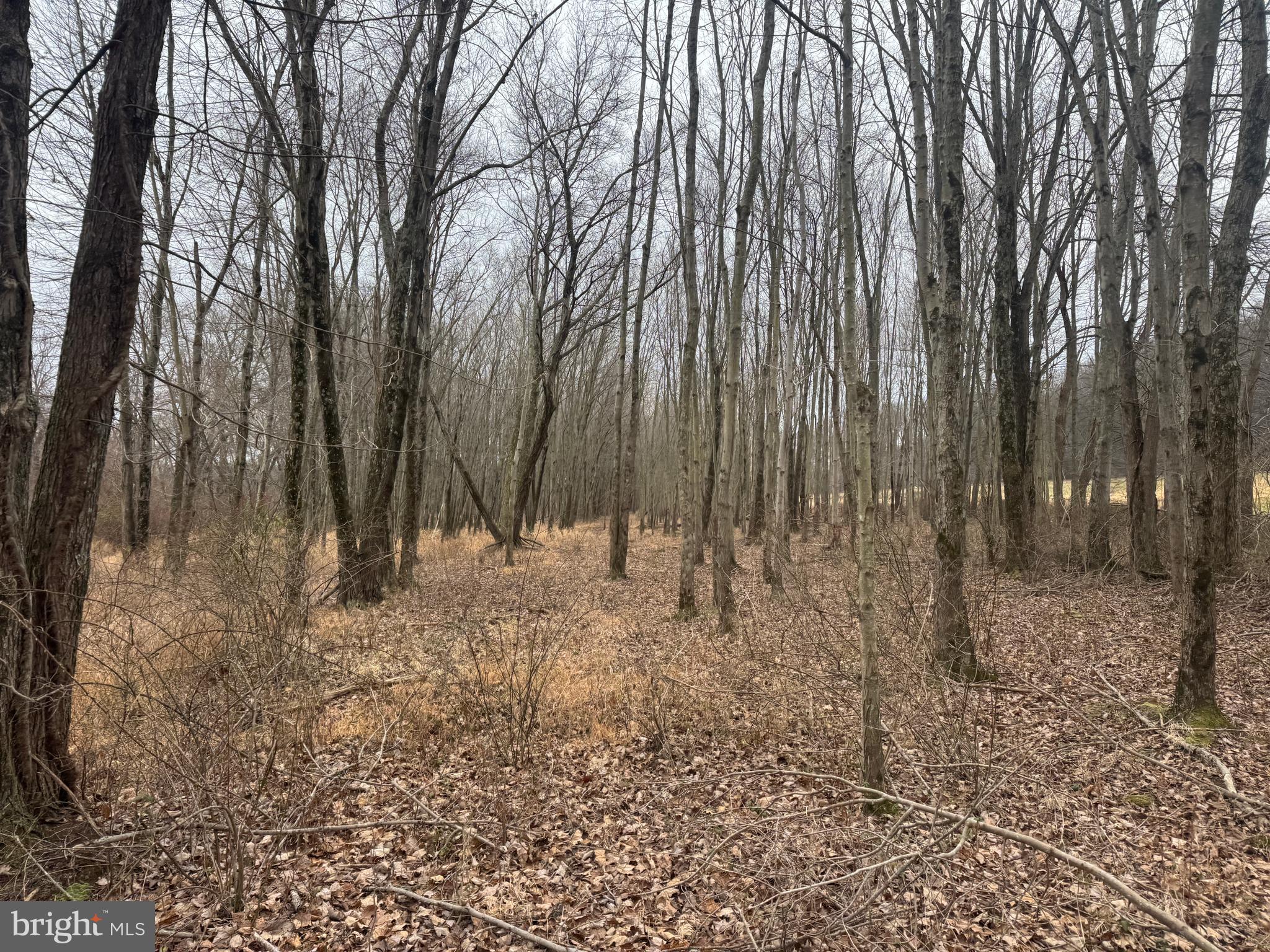 3940 Trego Road Rohrersville, MD 21779 - Photo 33 of 68