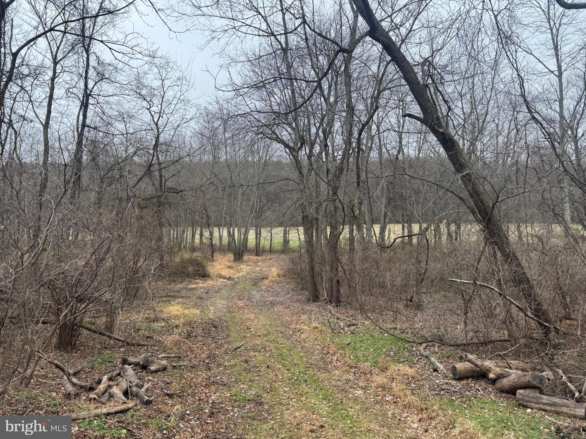 3940 Trego Road Rohrersville, MD 21779 - Photo 35 of 68