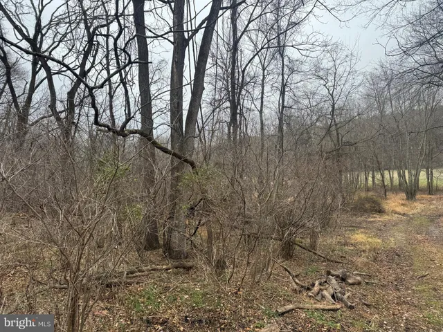 $699,000 | 3940 Trego Road, Rohrersville, MD 21779