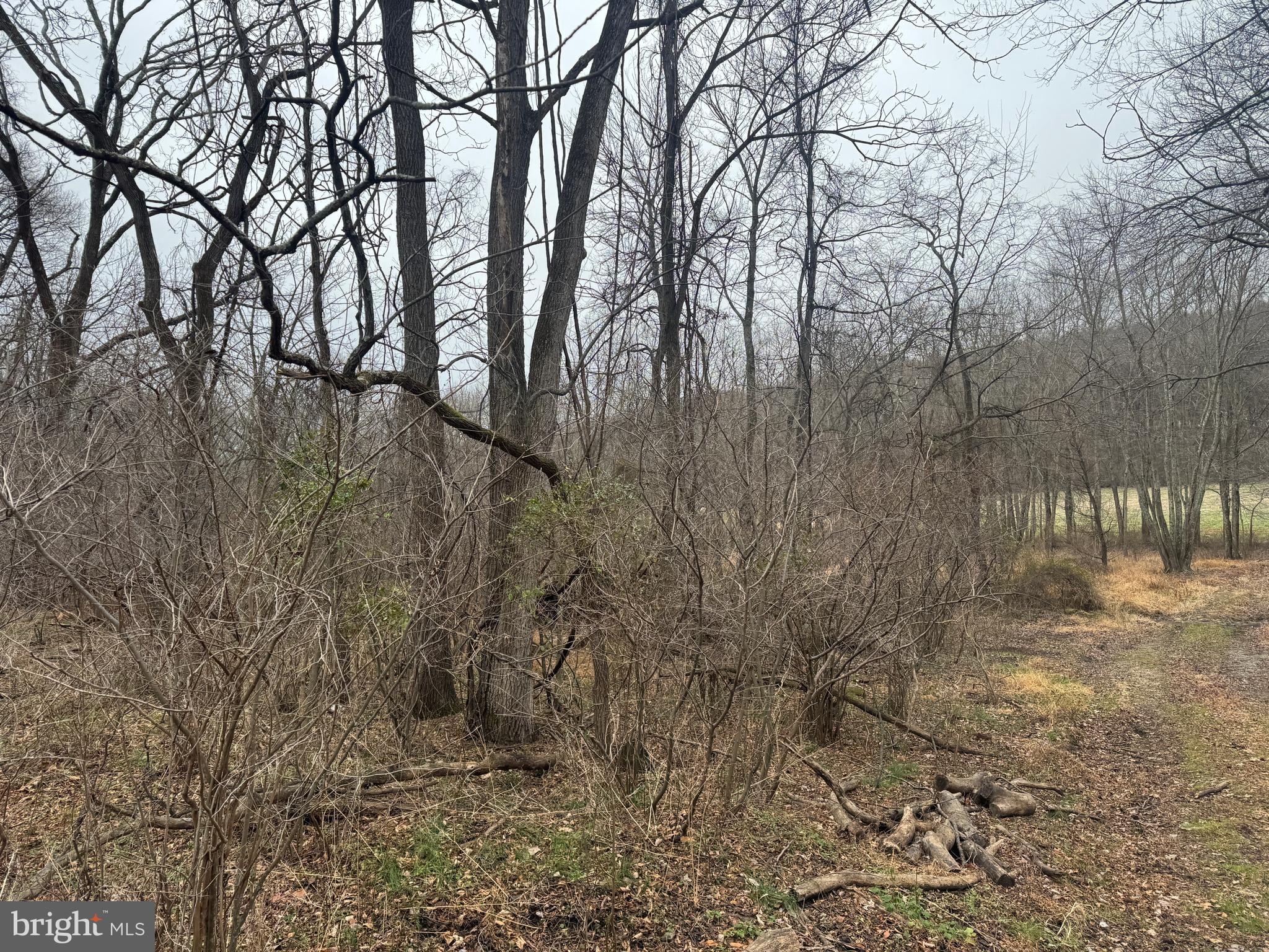 3940 Trego Road Rohrersville, MD 21779 - Photo 36 of 68