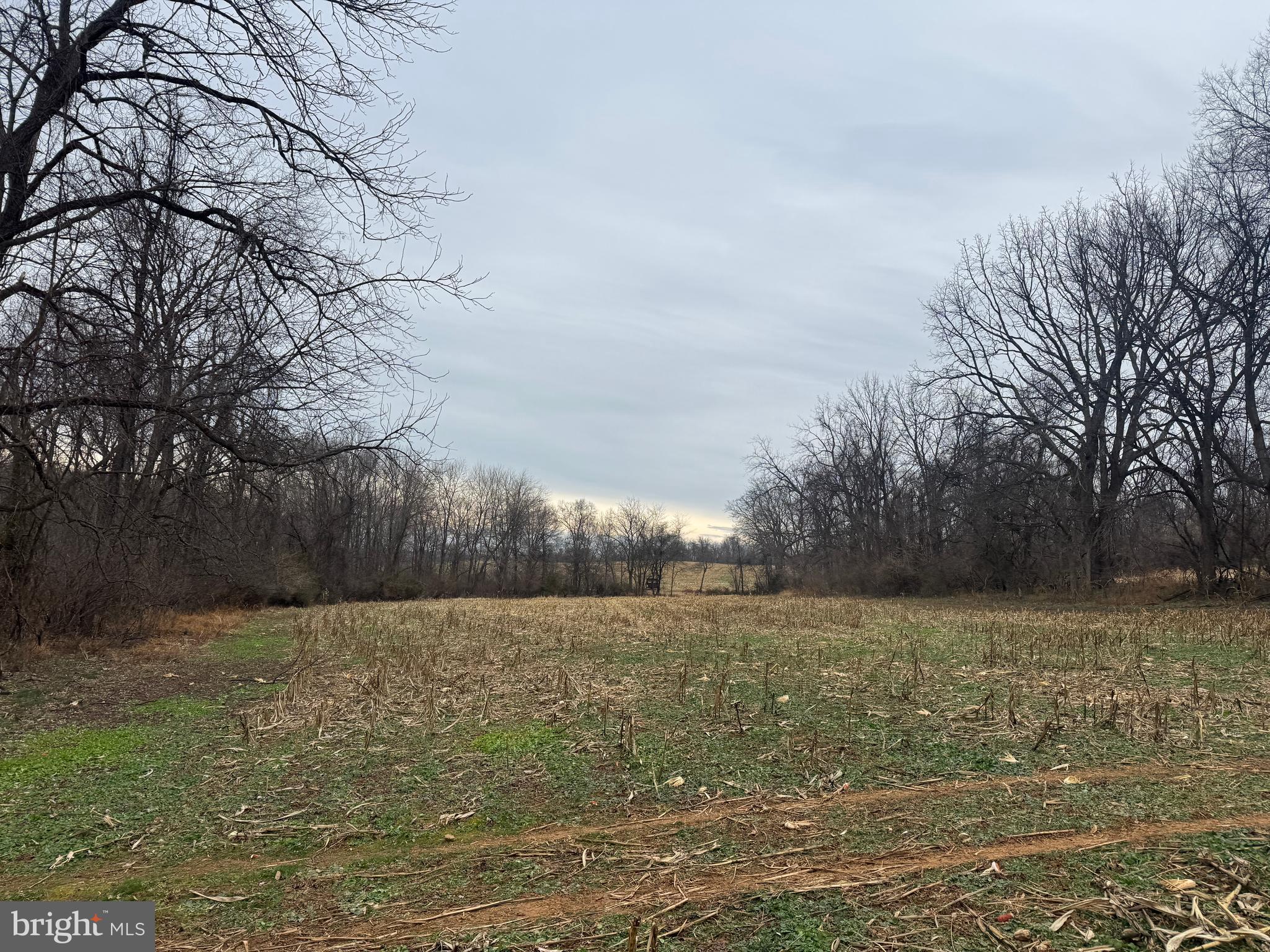 3940 Trego Road Rohrersville, MD 21779 - Photo 37 of 68