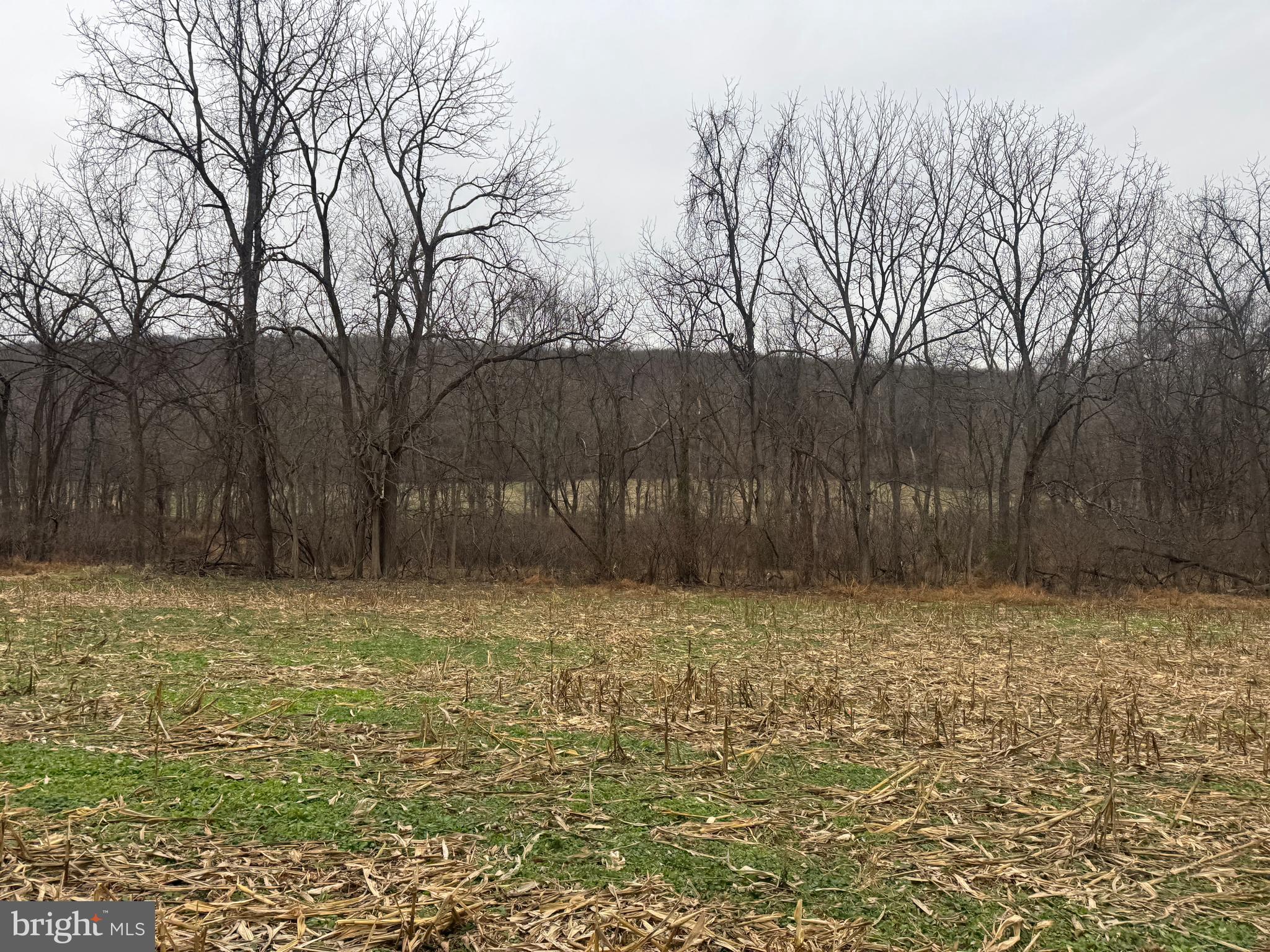 3940 Trego Road Rohrersville, MD 21779 - Photo 39 of 68