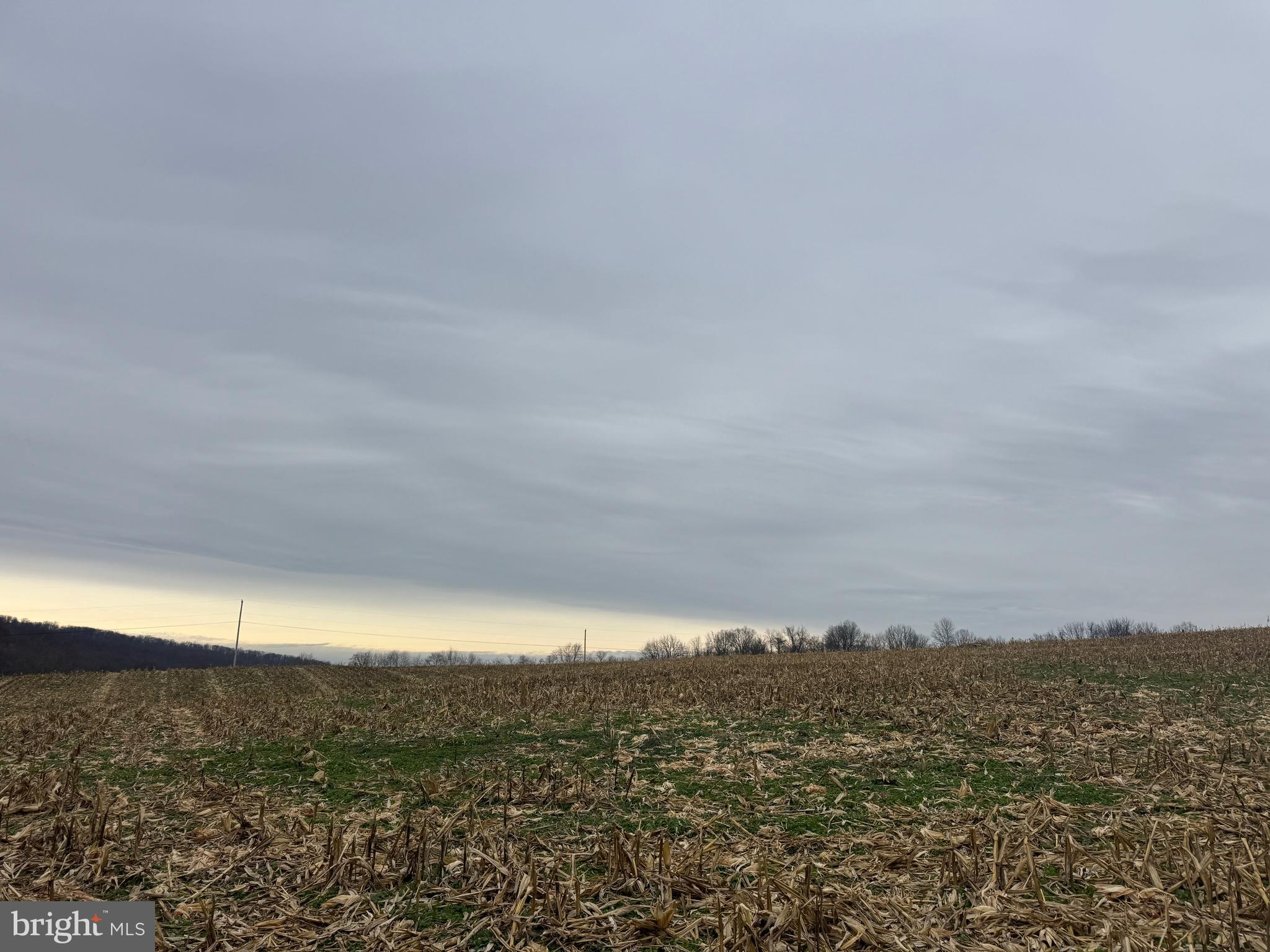 3940 Trego Road Rohrersville, MD 21779 - Photo 41 of 68