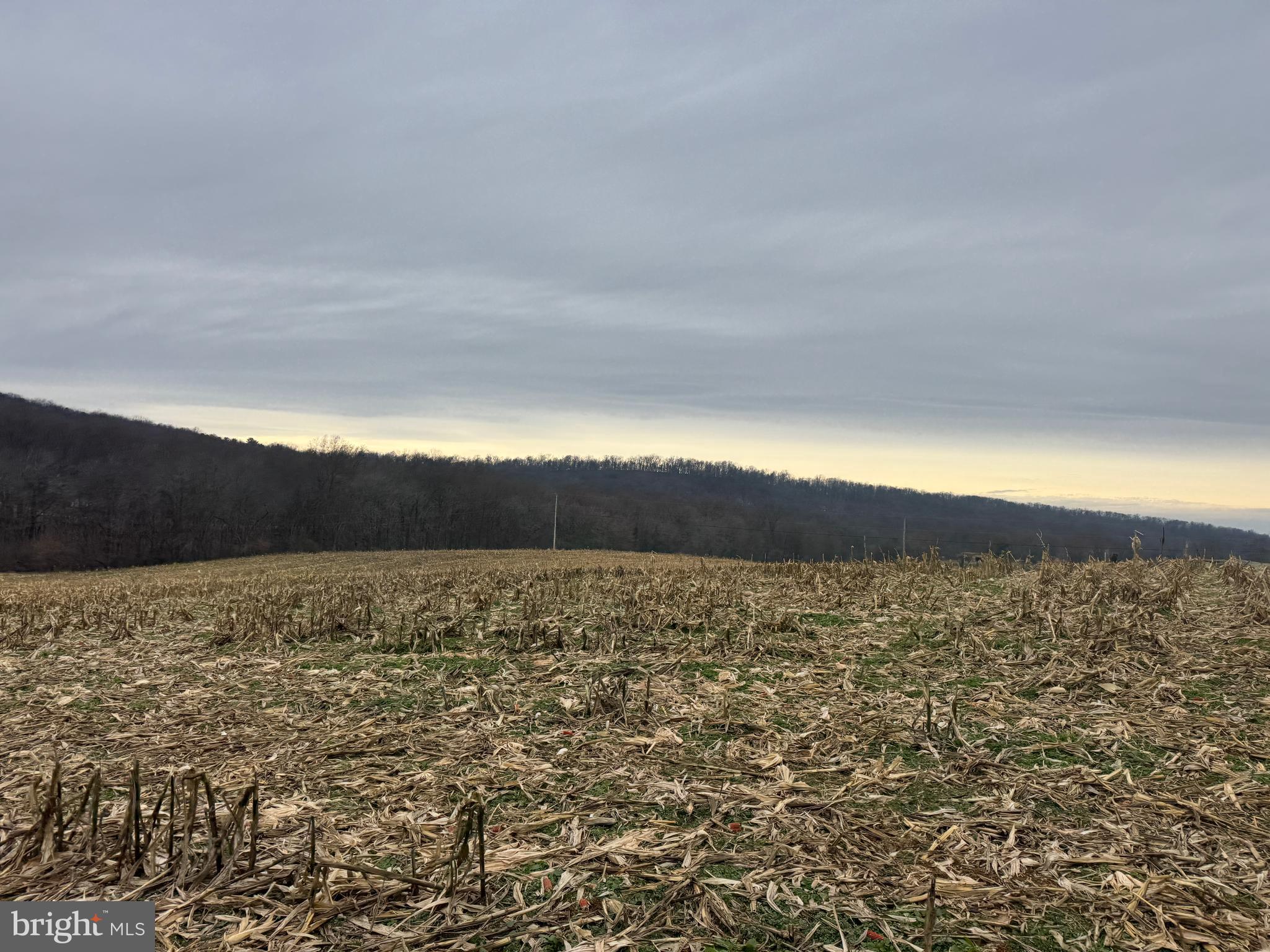 3940 Trego Road Rohrersville, MD 21779 - Photo 42 of 68