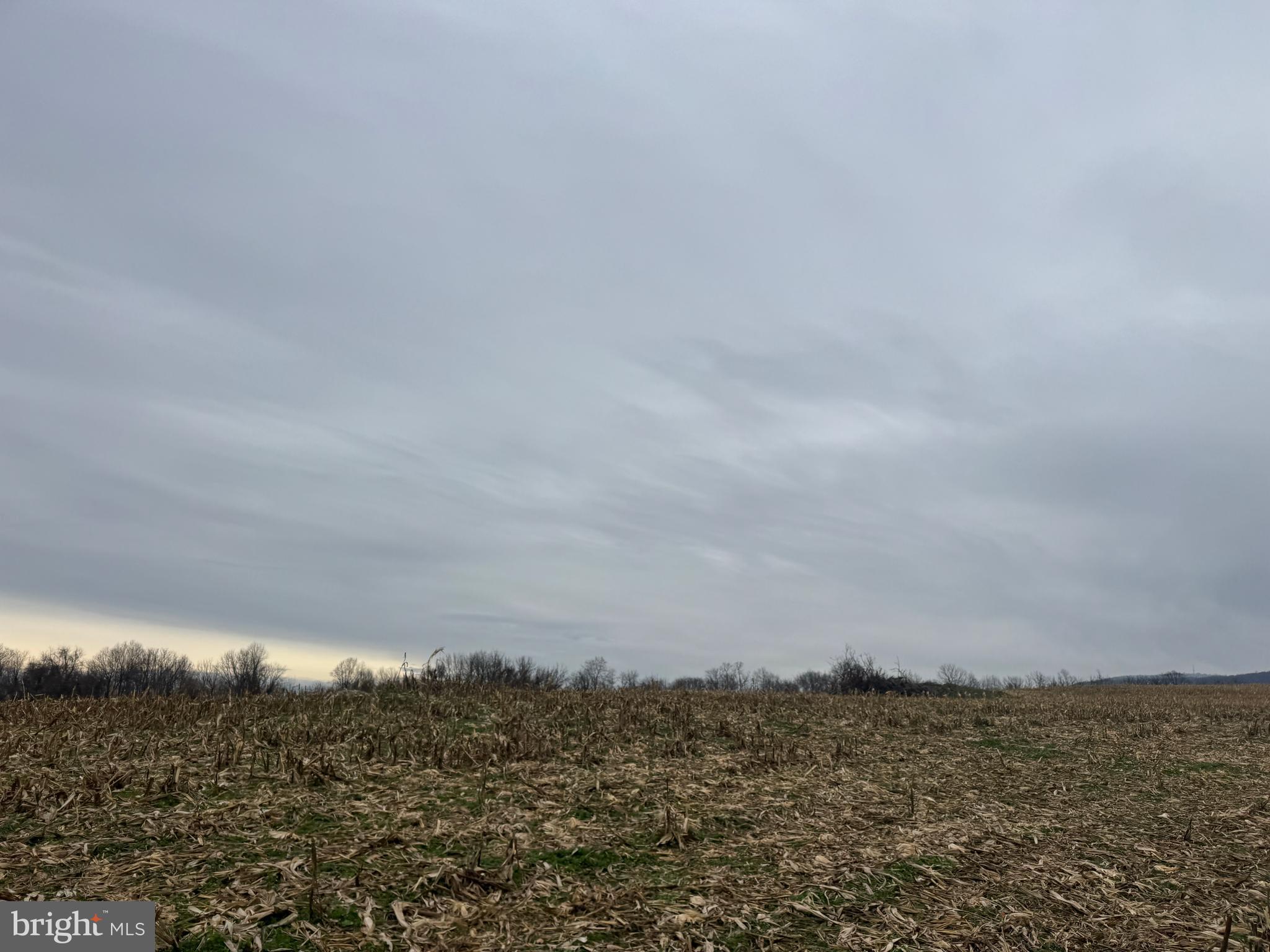 3940 Trego Road Rohrersville, MD 21779 - Photo 43 of 68