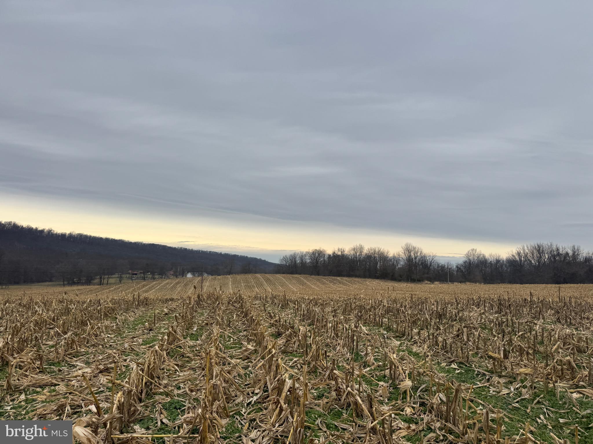 3940 Trego Road Rohrersville, MD 21779 - Photo 44 of 68