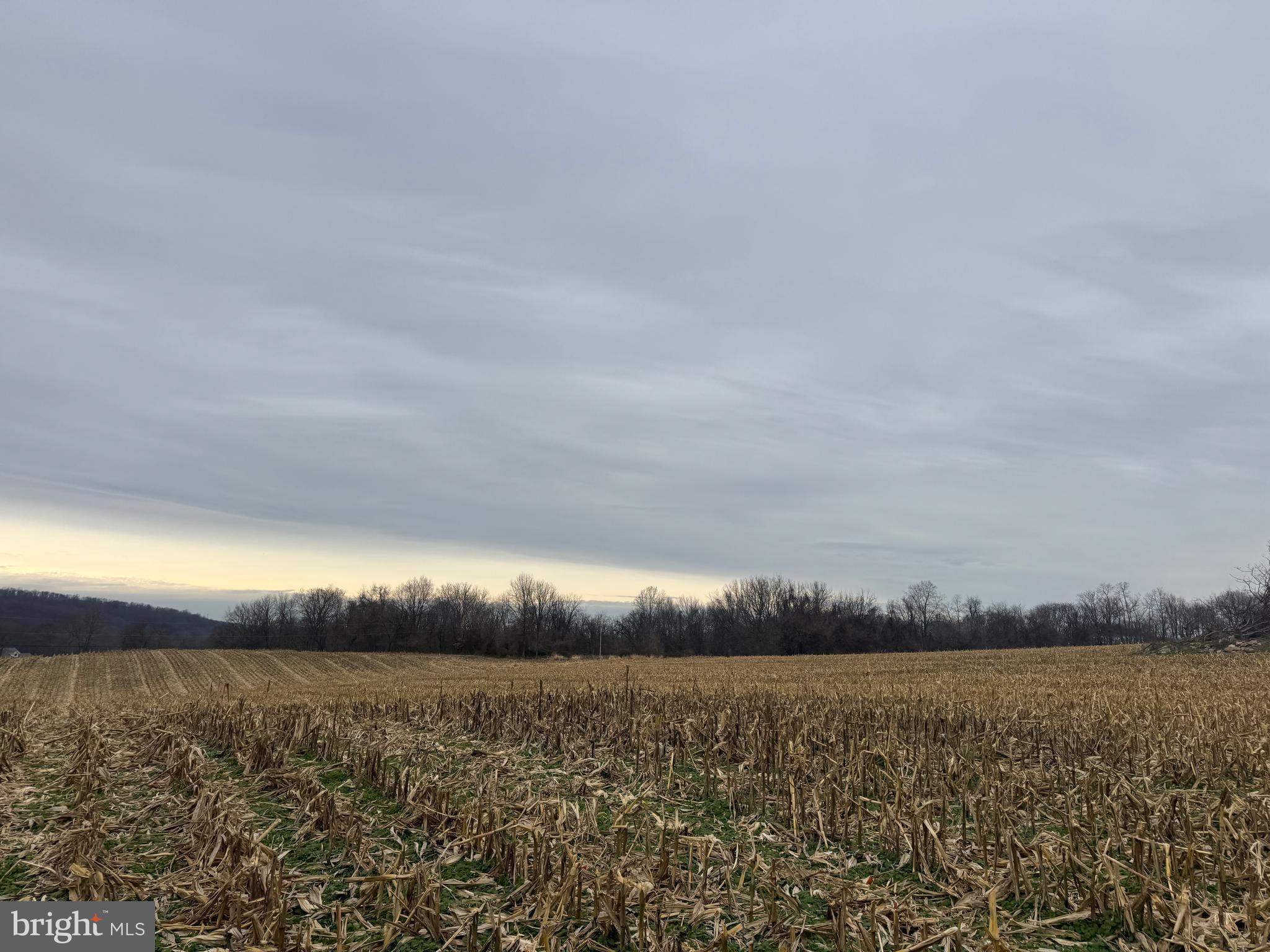 3940 Trego Road Rohrersville, MD 21779 - Photo 45 of 68