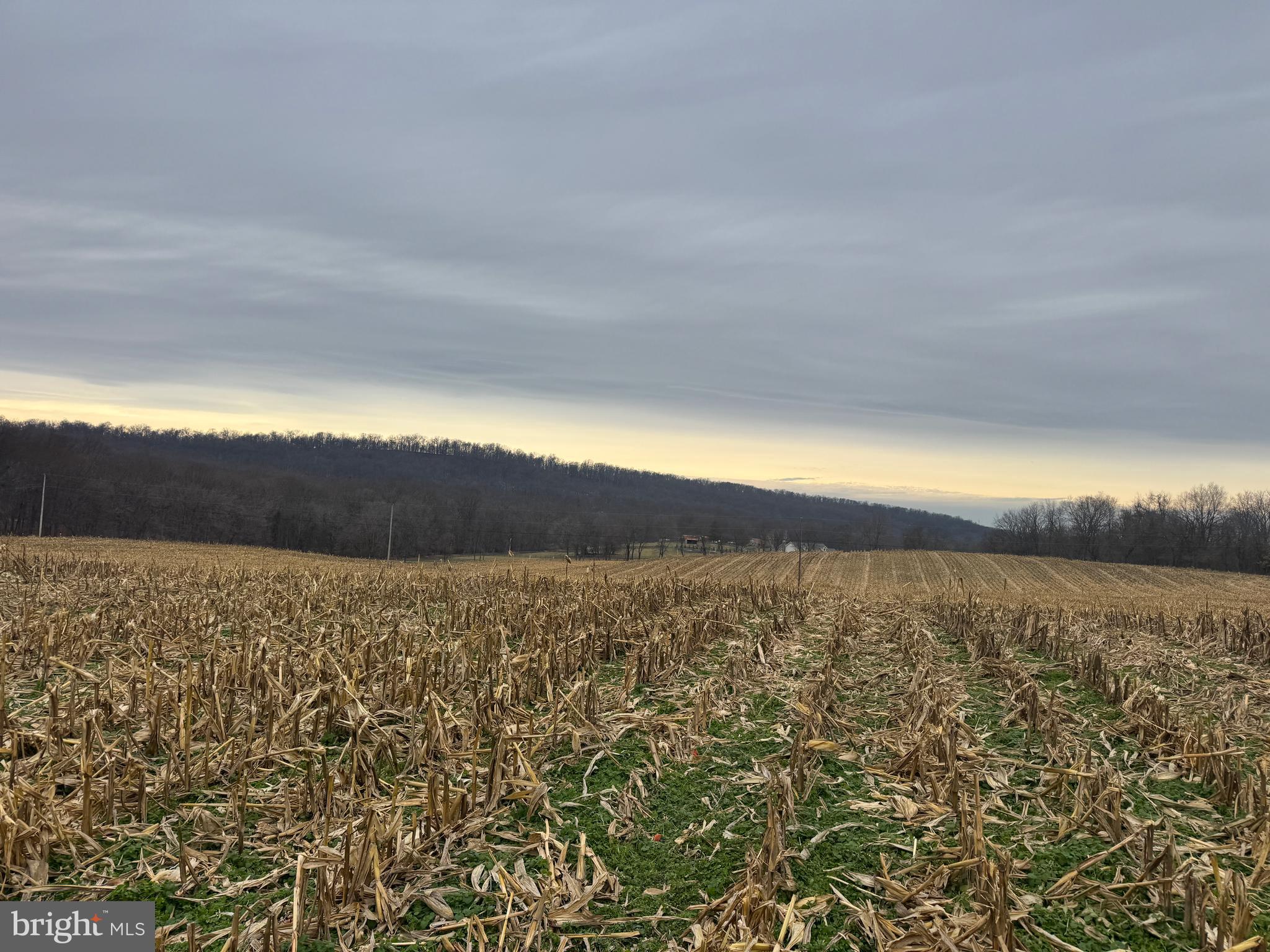 3940 Trego Road Rohrersville, MD 21779 - Photo 46 of 68