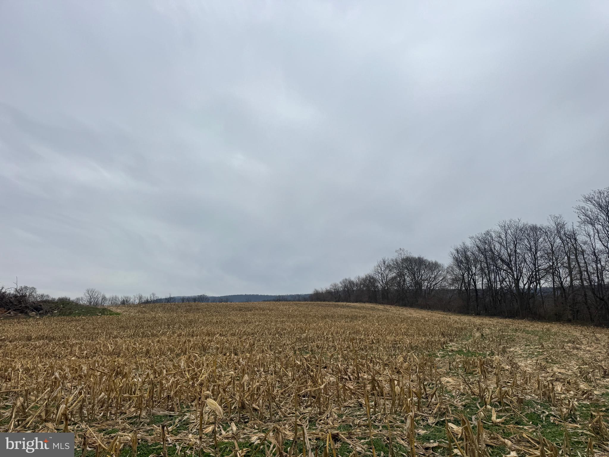 3940 Trego Road Rohrersville, MD 21779 - Photo 47 of 68