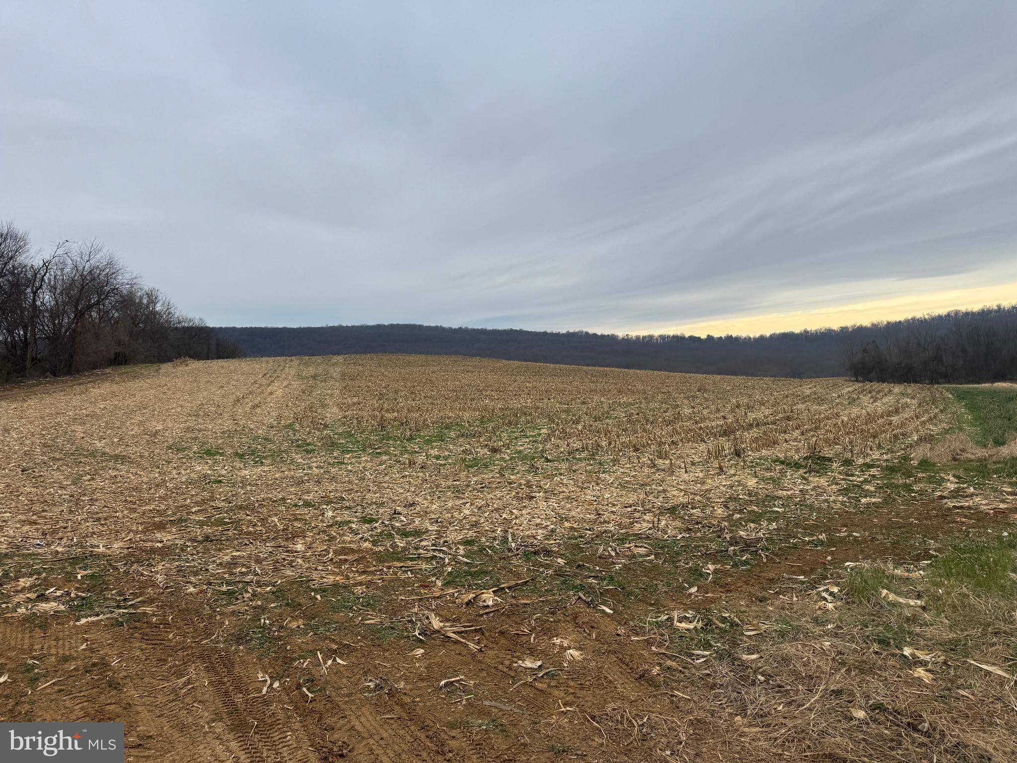 3940 Trego Road Rohrersville, MD 21779 - Photo 48 of 68